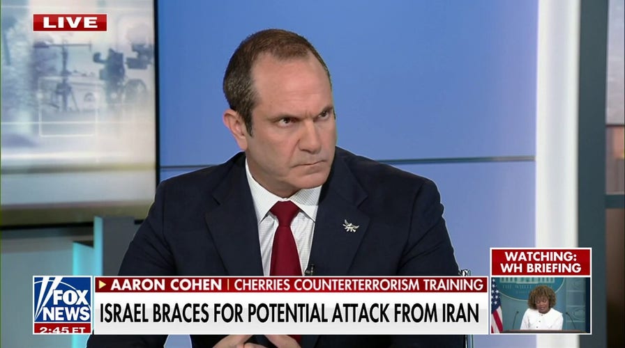 After 9 months of ‘cultural warfare,’ antisemitism is ‘encouraged’: Aaron Cohen