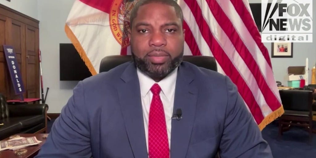 Lawmaker warns sanctuary laws letting illegal truckers drive put lives at risk