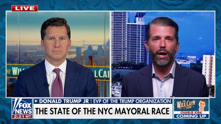 The Democratic Party is in 'total disarray,' says Donald Trump Jr.