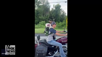 Dog rides on motorcycle with driver in hilarious video