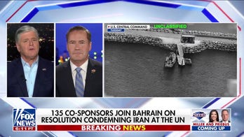 Gulf nations once ‘neutral’ now publicly condemn Iran, US ambassador to the UN