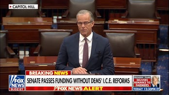 Senate finds 'exit ramp' to reopen DHS, pay TSA