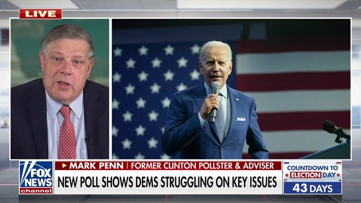 Former Clinton pollster: 'Most people don't want to see Biden run for re-election'