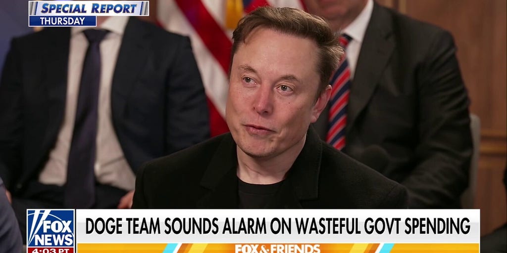 Elon Musk calls out Democrat's $2 billion in NGO funds uncovered by DOGE