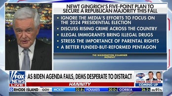 Newt Gingrich outlines top issues Republicans should hit for midterms