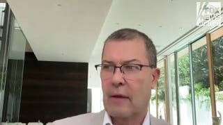 Ex-Clinton ally pans media downplaying 'civil war' between moderate Dems, socialists