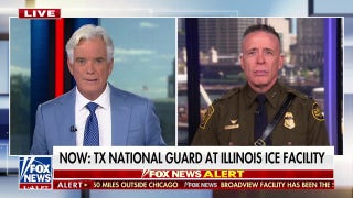 CBP chief slams Dems ignoring targeted ICE violence: 'Flat-out blind!'