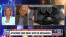 Victor Davis Hanson: There's a lot of 'culpable people' in attacks against ICE