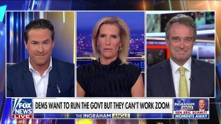 Shutting the government down 'defeats the whole purpose' of the Democratic Party: Charlie Hurt