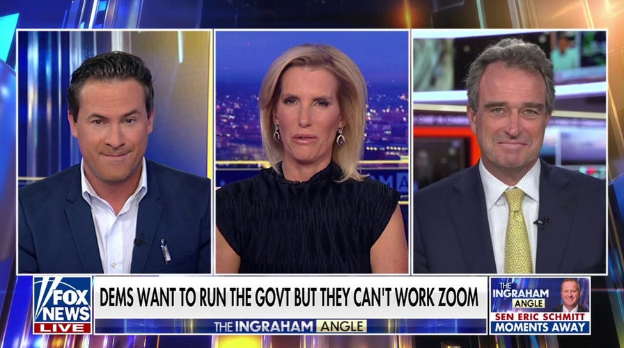 Shutting the government down 'defeats the whole purpose' of the Democratic Party: Charlie Hurt