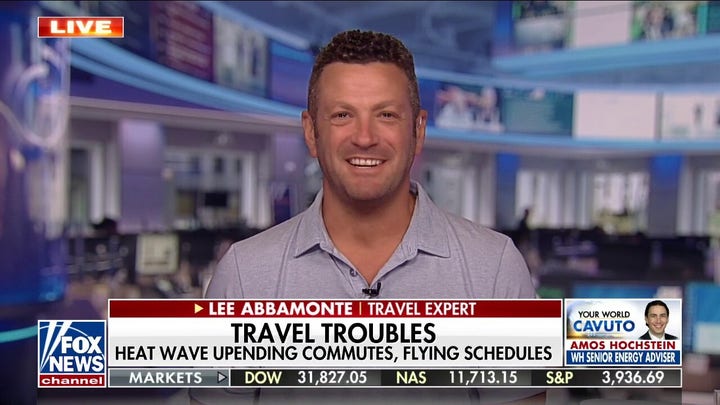 Look for alternative means of travel during extreme heat: Expert