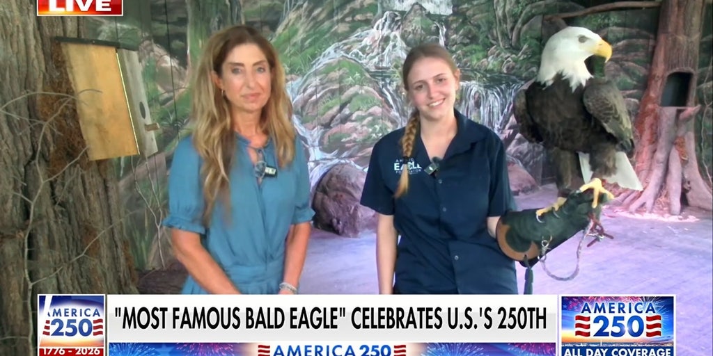 Challenger the bald eagle celebrates US' 250th with military flyover rehearsal