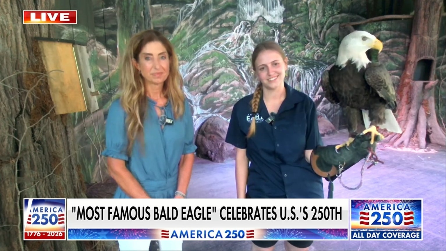 Challenger the bald eagle celebrates US' 250th with military flyover rehearsal