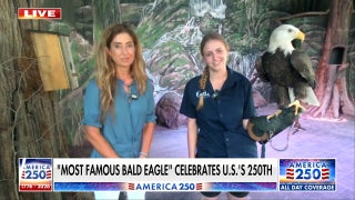 Challenger the bald eagle celebrates US' 250th with military flyover rehearsal