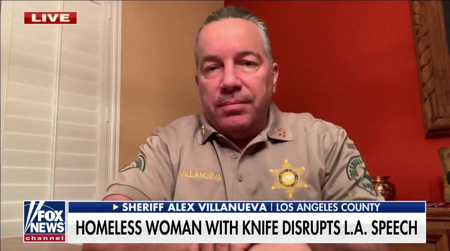 LA County sheriff slams failed policies for homeless crisis: It's year after year of 'insanity'