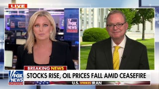 Oil prices go down, stocks go up: ‘A lot’ of good economic news, says NEC chief