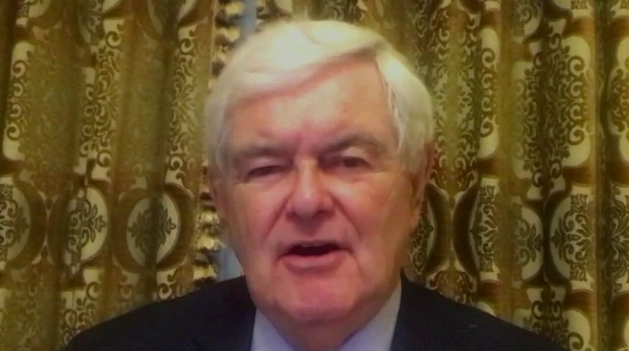 Newt Gingrich on Washington riots: ‘The mayor should be put on notice’