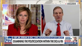 Congress may use 'power of the purse' to 'limit' how FBI, DOJ spend money: Rep. Jim Jordan