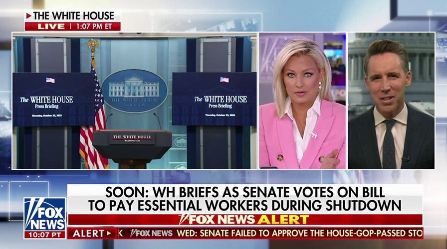 Sen. Hawley slams Democrats' 'absurd' shutdown ‘temper tantrum’