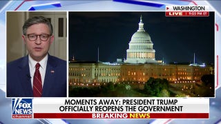 Speaker Johnson calls shutdown ‘selfish political stunt’ after House votes to reopen government - Fox News