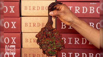 WATCH: Chicken sandwich comes with leg attached - Fox News