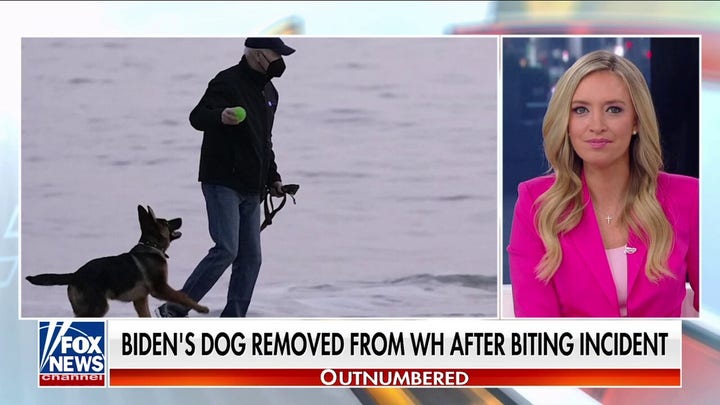 Commander booted from White House after latest biting incident