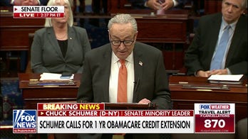 Schumer offers Democratic plan to end shutdown