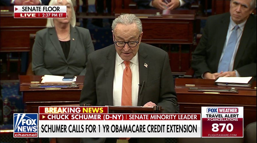 Schumer offers Democratic plan to end shutdown