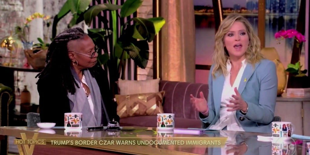 'View' co-host admits 'this table' doesn't know what Americans think because 'no one voted' for Trump