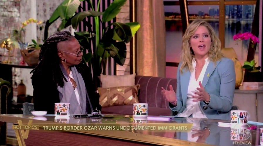'View' co-host admits 'this table' doesn't know what Americans think because 'no one voted' for Trump