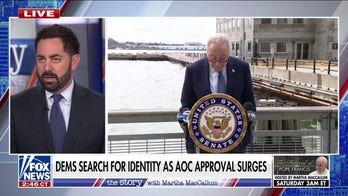 Lawmaker rips 'ineffective' Schumer, Dems for 