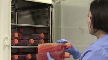 Facebook's Mark Zuckerberg predicts coronavirus vaccine won't be available until 2021