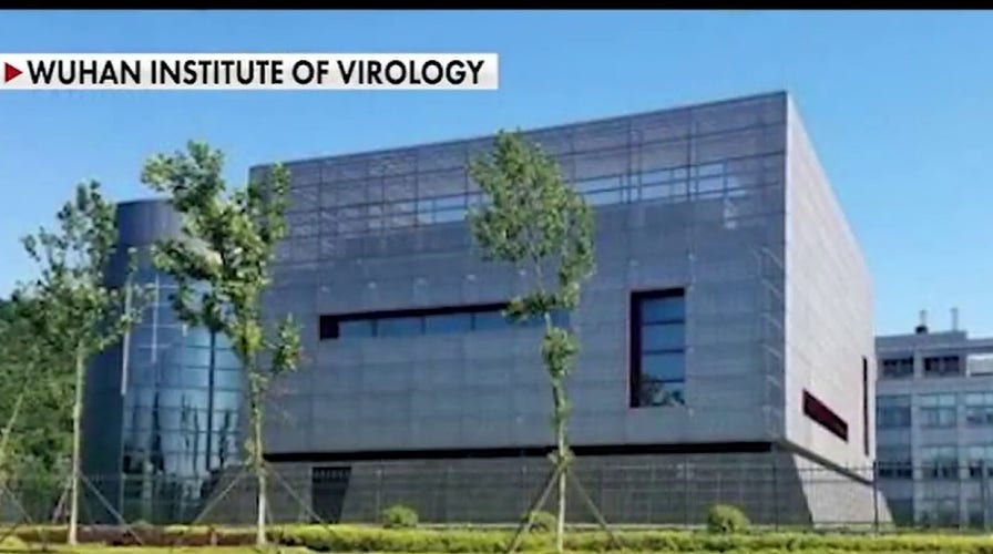 Chinese government faces scrutiny over COVID-19 origins