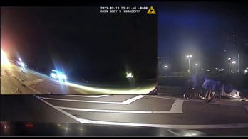 Officers, bystanders work together to lift overturned vehicle, rescue driver 