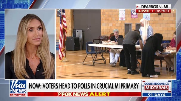 Michigan voters head to polls in crucial US Senate race