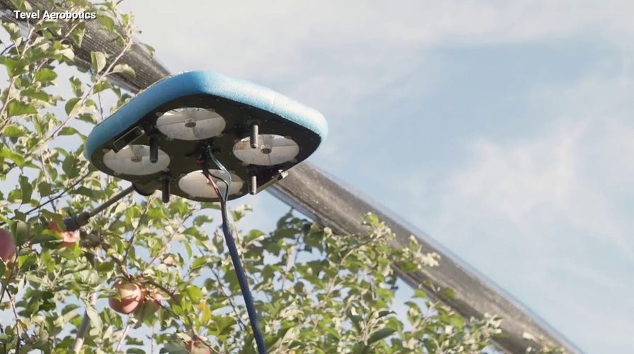 Just when you've seen it all ... flying fruit-picking robots take flight