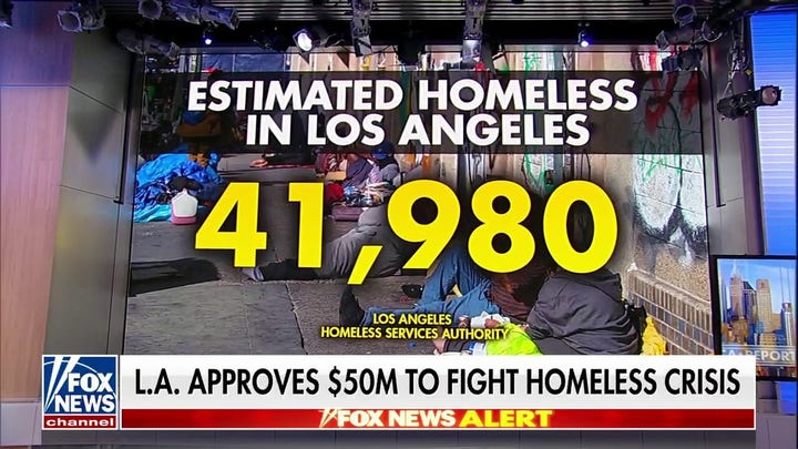 LA City Council approves $50M emergency fund to fight homeless crisis