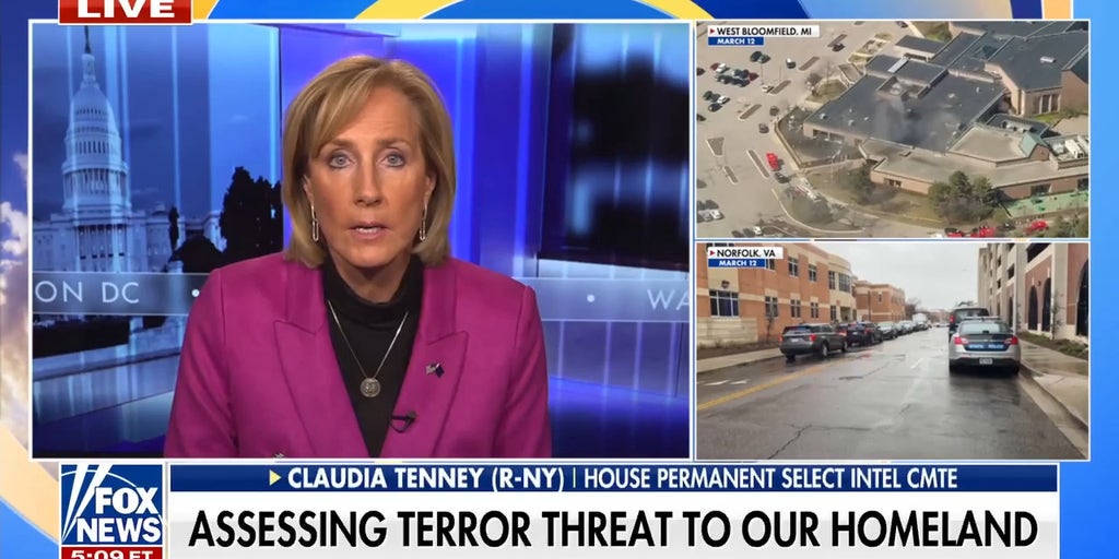 Rep. Claudia Tenney: It's 'no surprise' there have been lone wolf attacks in US