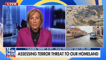 Rep. Claudia Tenney: It's 'no surprise' there have been lone wolf attacks in US