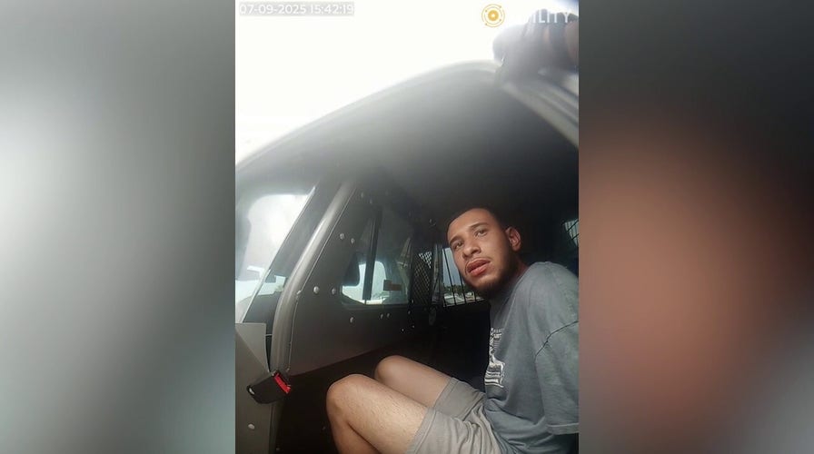 Texas suspect who allegedly confronted ICE agents, damaged vehicle arrested