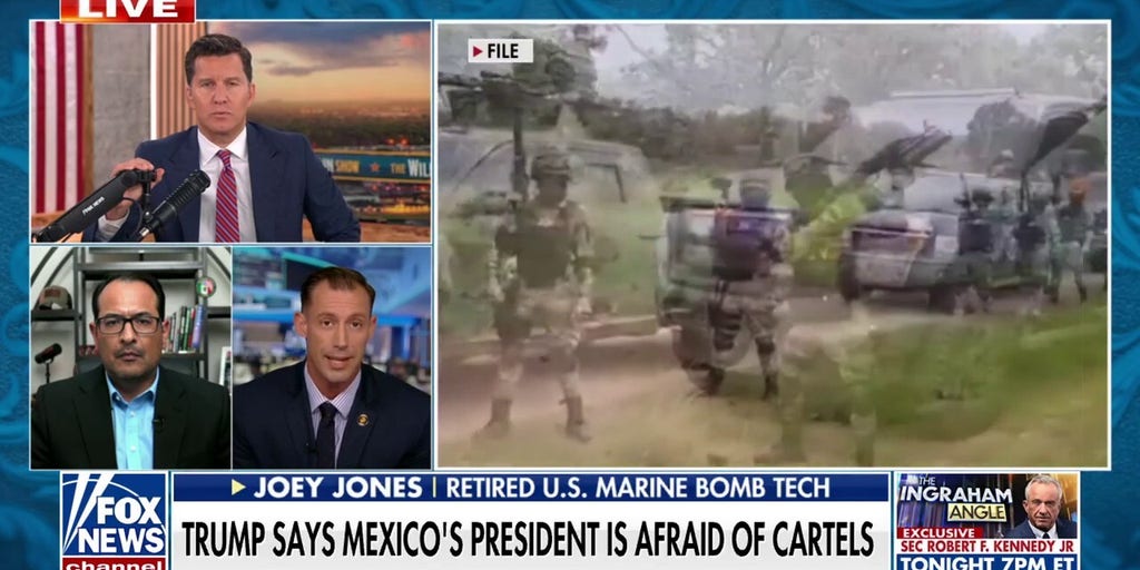 Should US troops be used to neutralize cartels in Mexico?