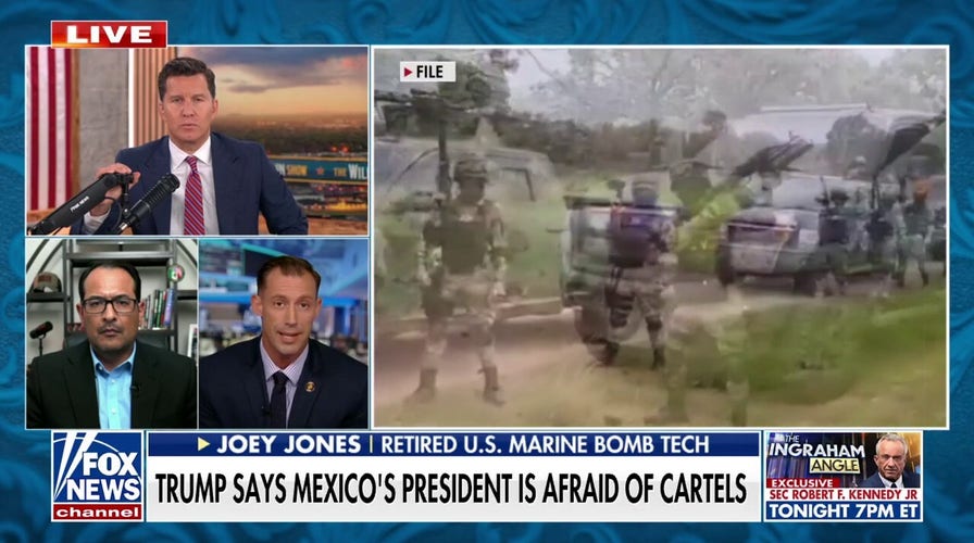 Should US troops be used to neutralize cartels in Mexico?
