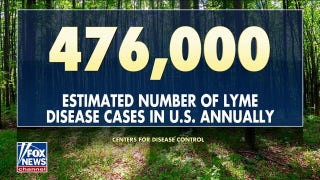 Health officials warn of increased risk from ticks, tick-borne diseases