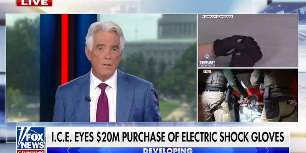 ICE eyes $20 million electric shock gloves