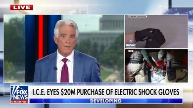 ICE eyes $20 million electric shock gloves