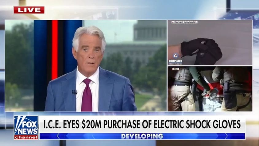 ICE eyes $20 million electric shock gloves