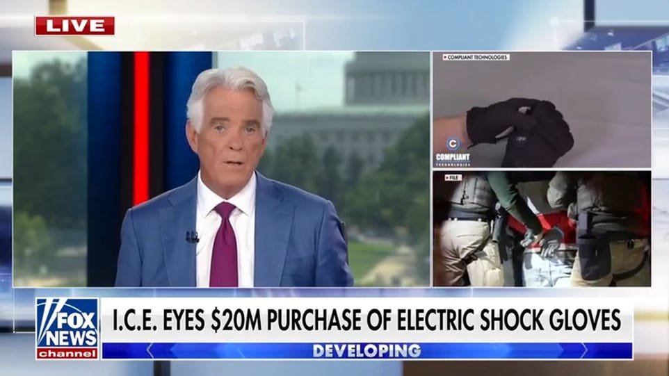 ICE eyes $20 million electric shock gloves
