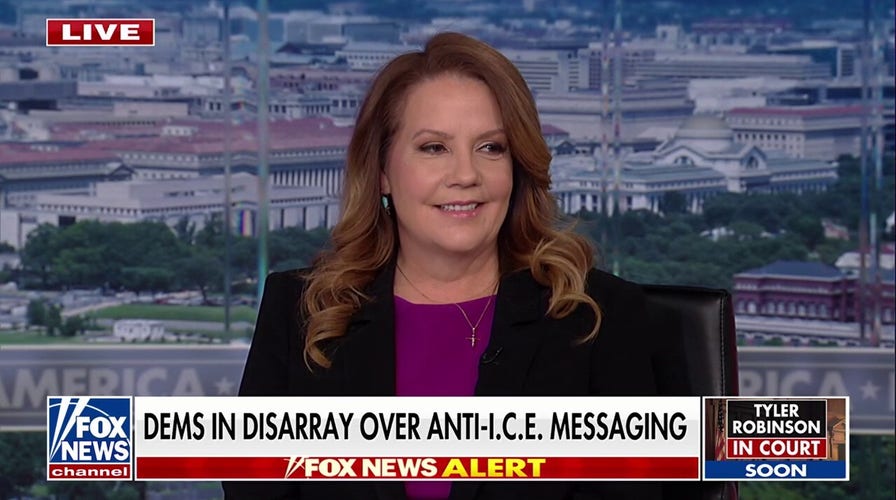 Dems must remember Trump ran on cleaning up the border and immigration mess, Mollie Hemingway says