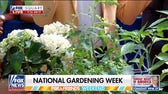 Now is the best time to plant a garden for ‘supercharged growth’: Gardening experts