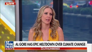 Al Gore’s climate meltdown at Davos ‘ridiculous’: Cheryl Casone - Fox News